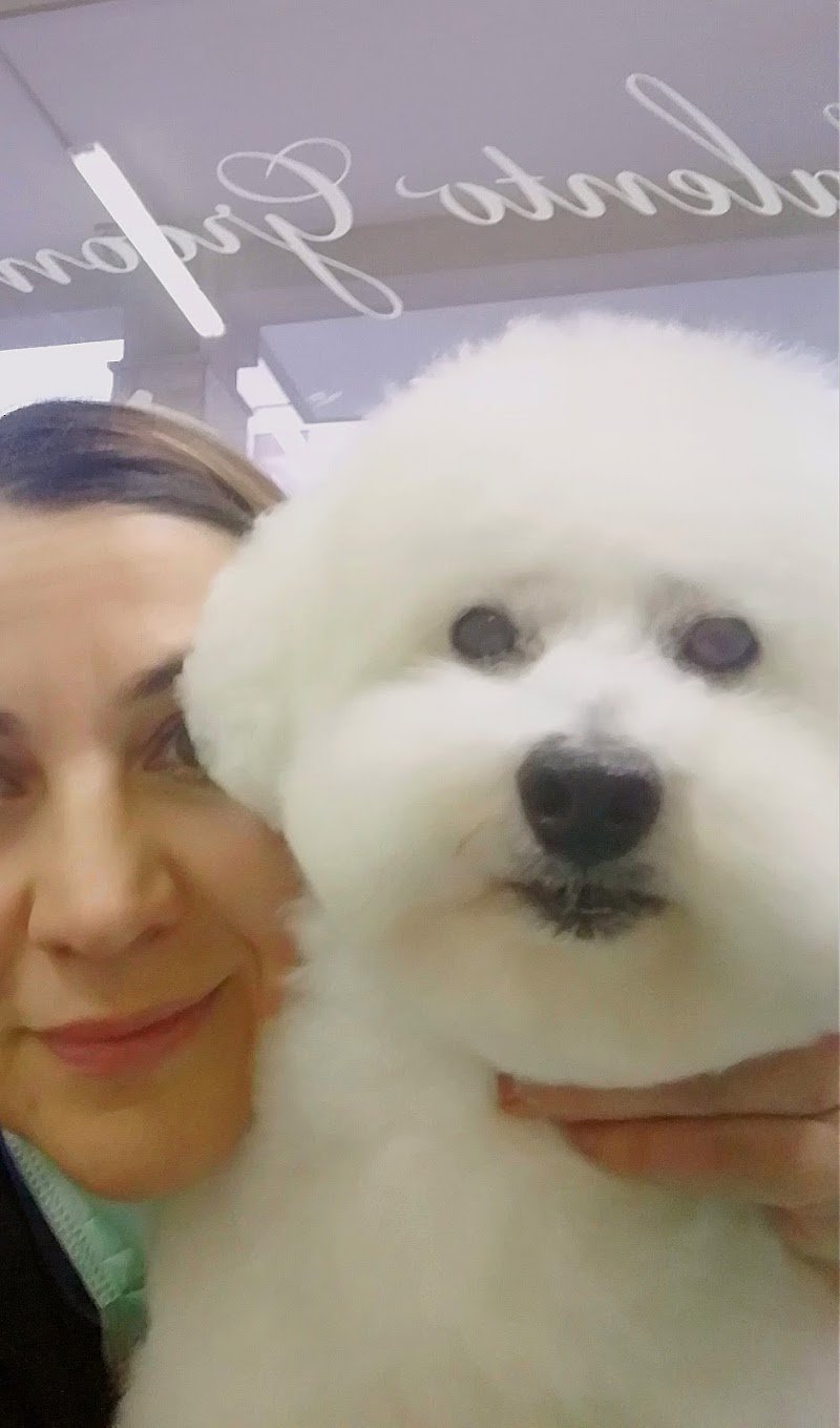 Salento Groomers - Valentina Palumbo - Foto 3