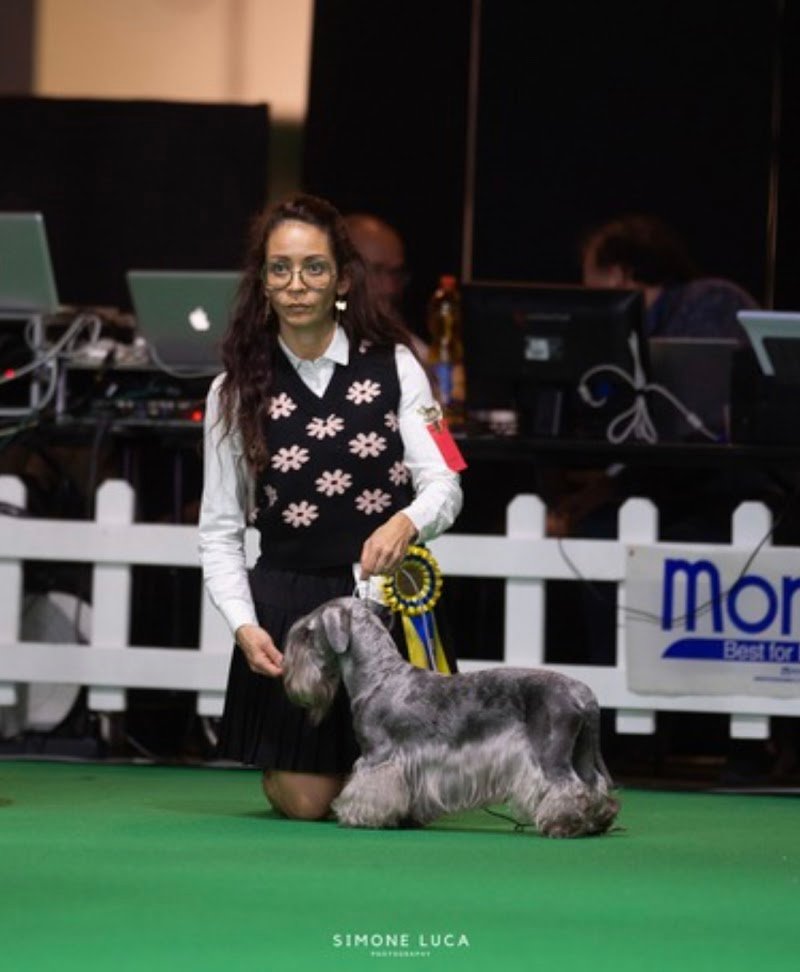 Salon de Toilettage - Foto 1