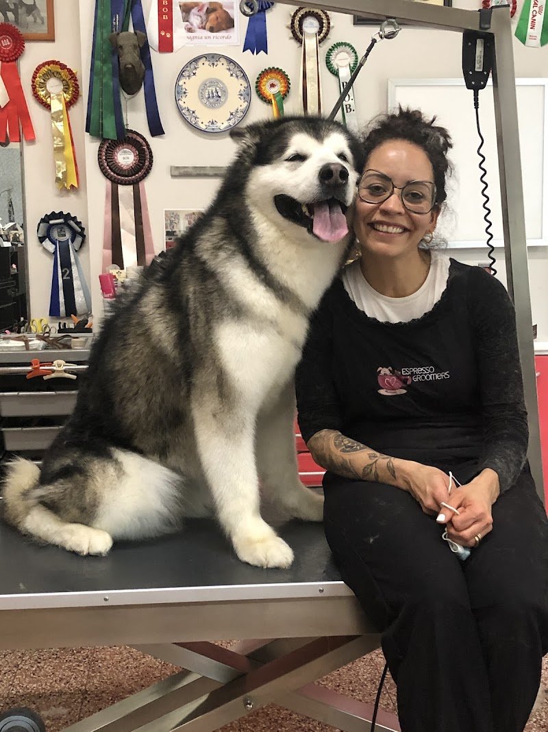 Salon de Toilettage - Foto 2