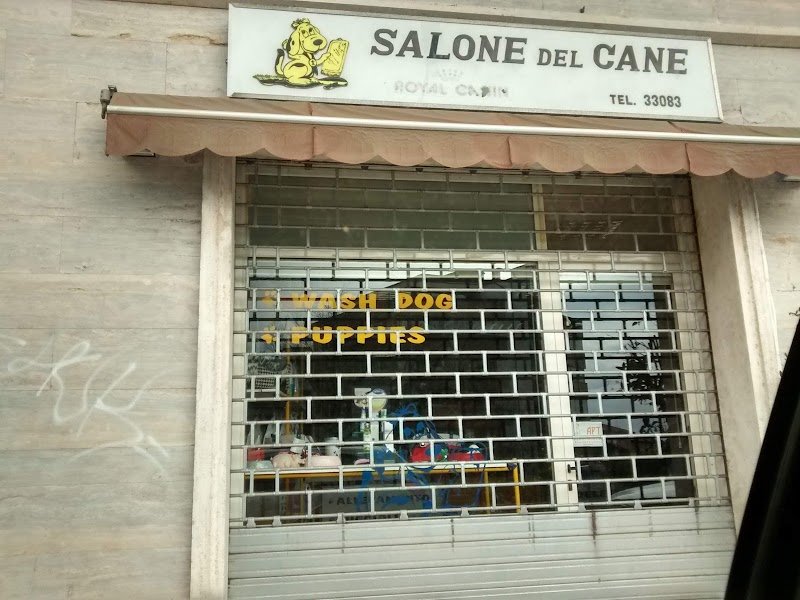 Salone Del Cane - Foto 1
