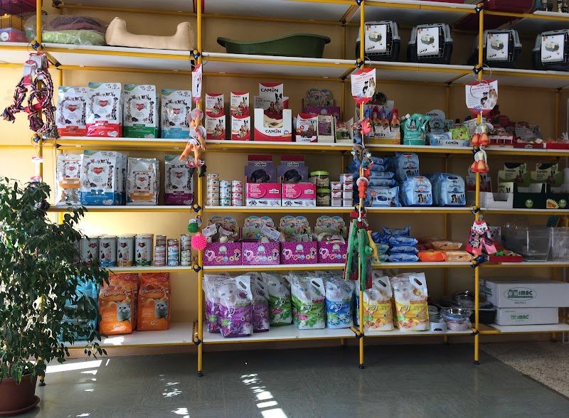 Salone Del Cane - Foto 2