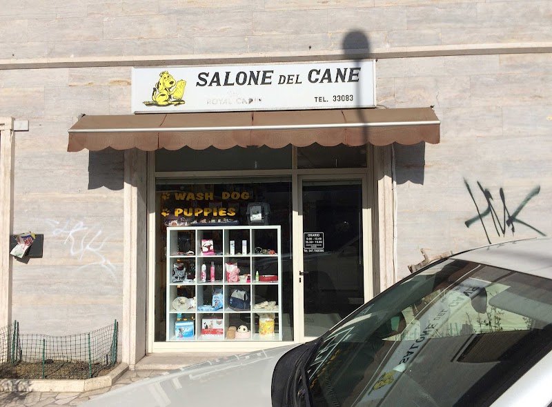 Salone Del Cane - Foto 3