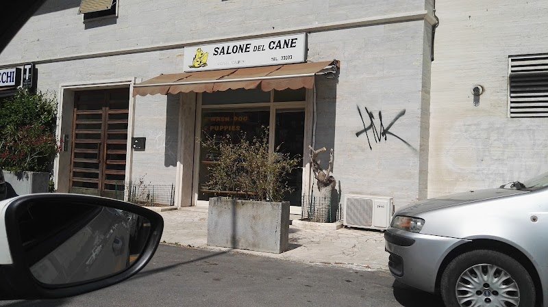 Salone Del Cane - Foto 5