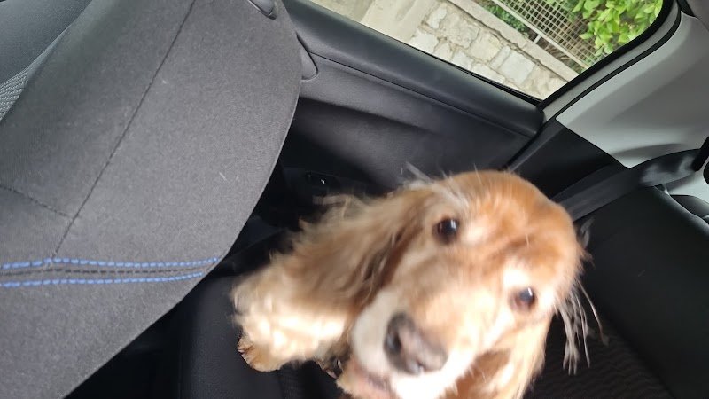 Salone delle Coccole - Foto 3