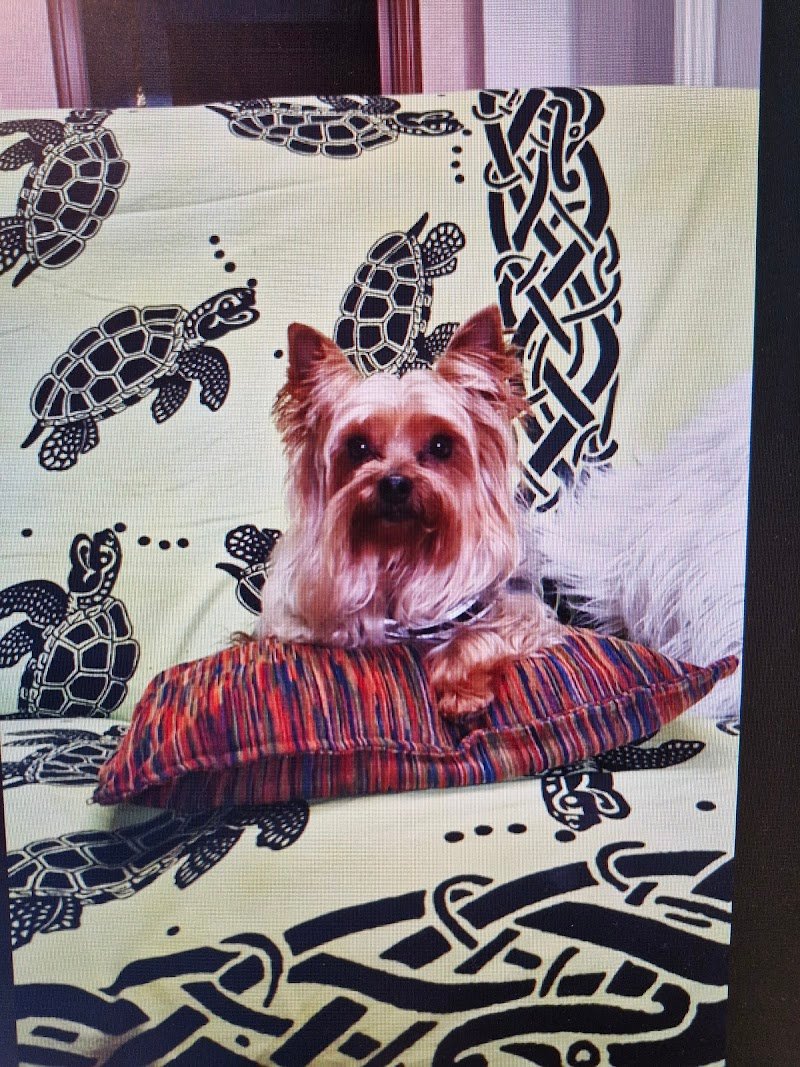 Salone delle Coccole - Foto 5