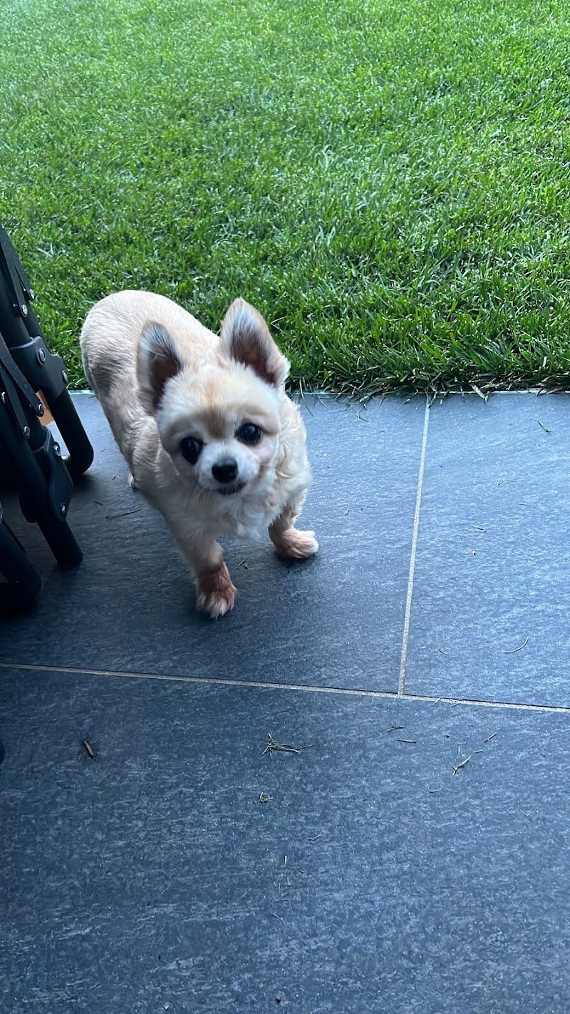 Salone Fido - Foto 1