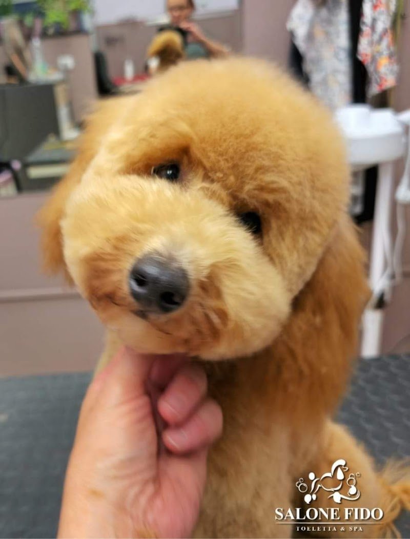 Salone Fido Toeletta & SPA - Foto 2
