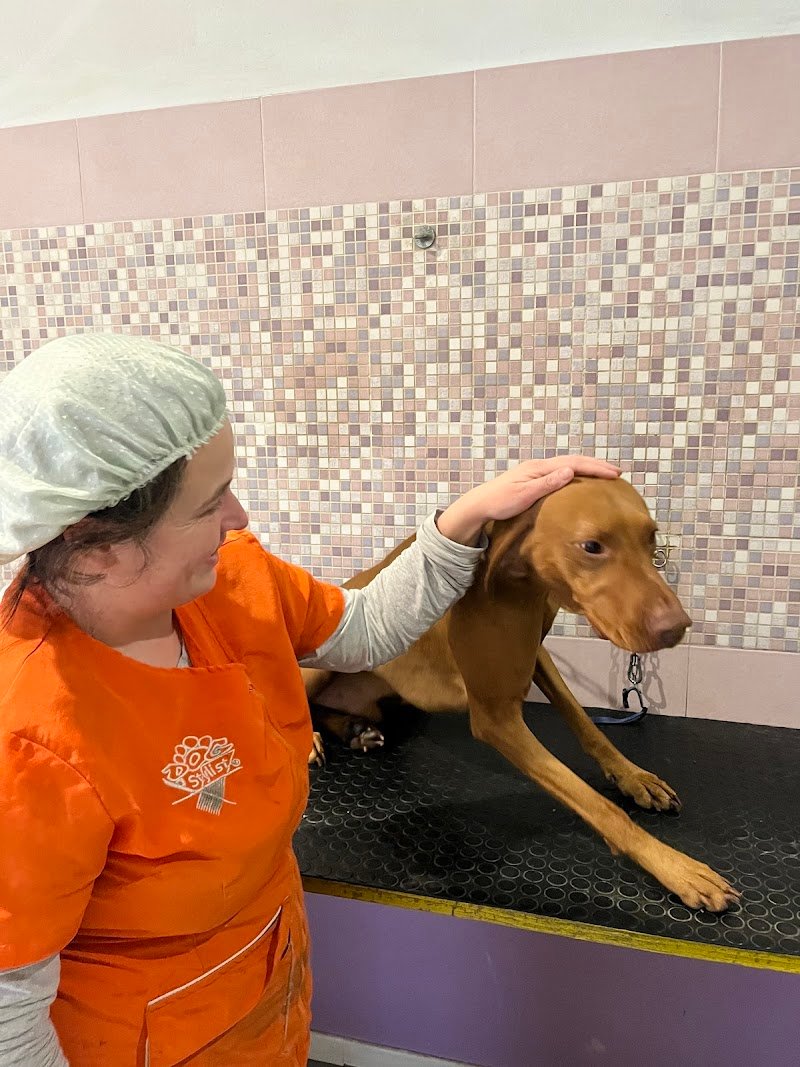 Salta In Vasca - Foto 3