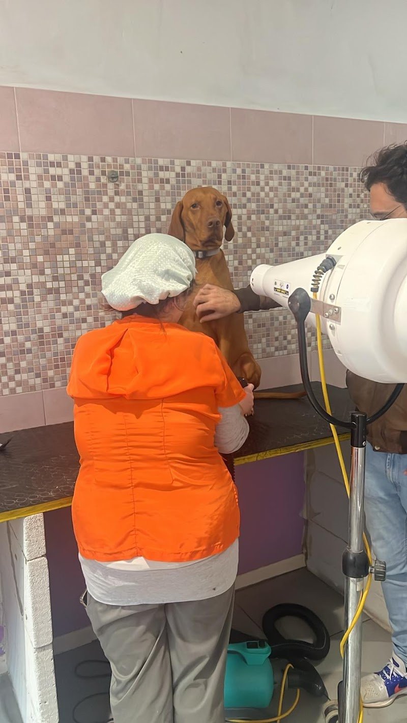 Salta In Vasca - Foto 5