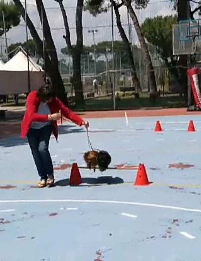 SANI E BELLI di Agnese Sasso - Foto 5