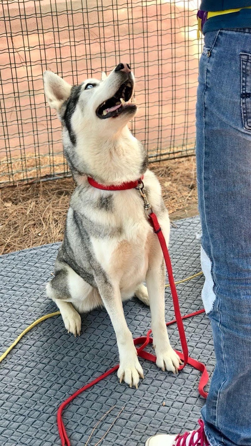 SANI E BELLI di Agnese Sasso - Foto 6