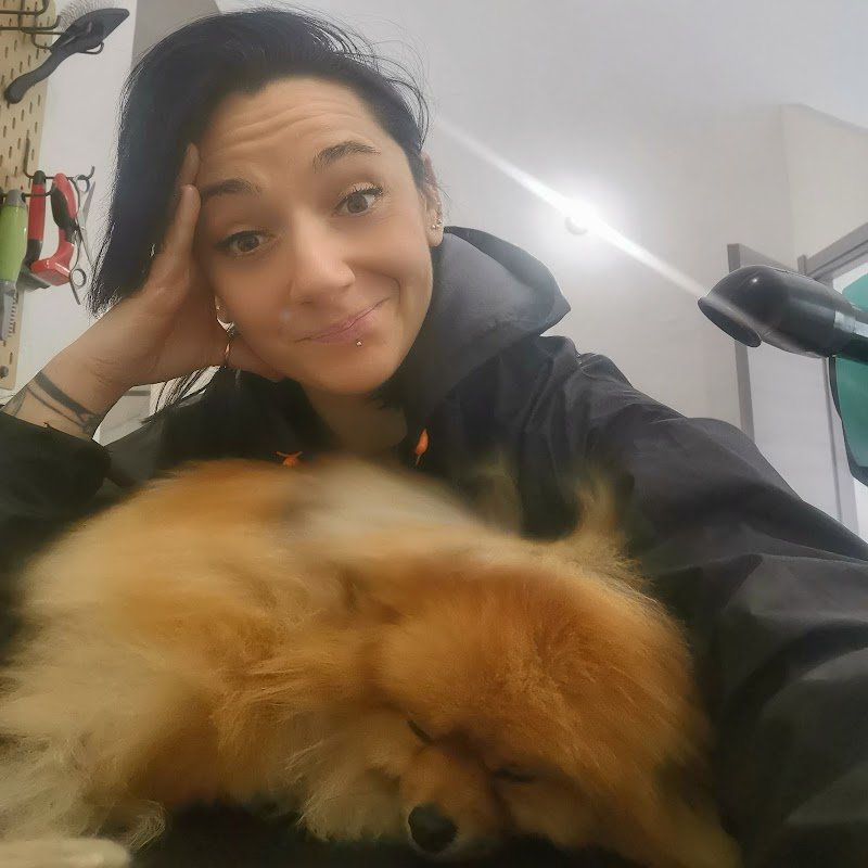 Sansa's Dog Toelettatura - Foto 5