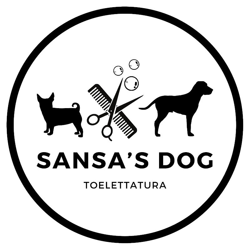 Sansa's Dog Toelettatura - Foto 6