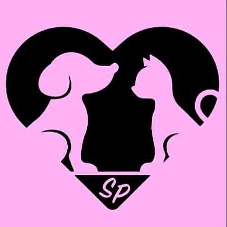 Saranno Pelosi - Foto 1