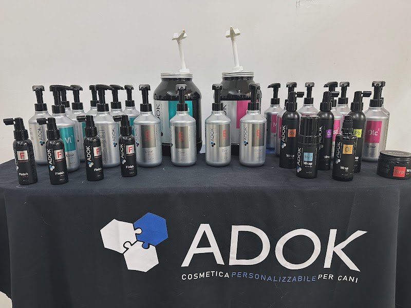 Scodinzolandia Beauty & Spa - Foto 1