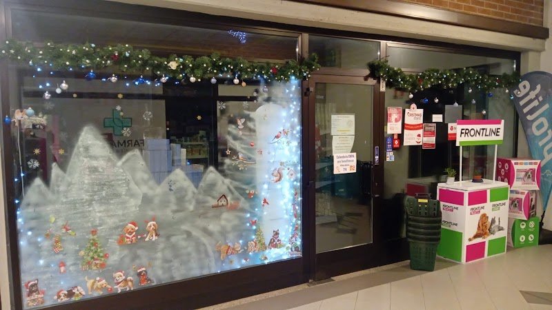 Scodinzolandia Toelettatura e Pet Shop - Foto 1