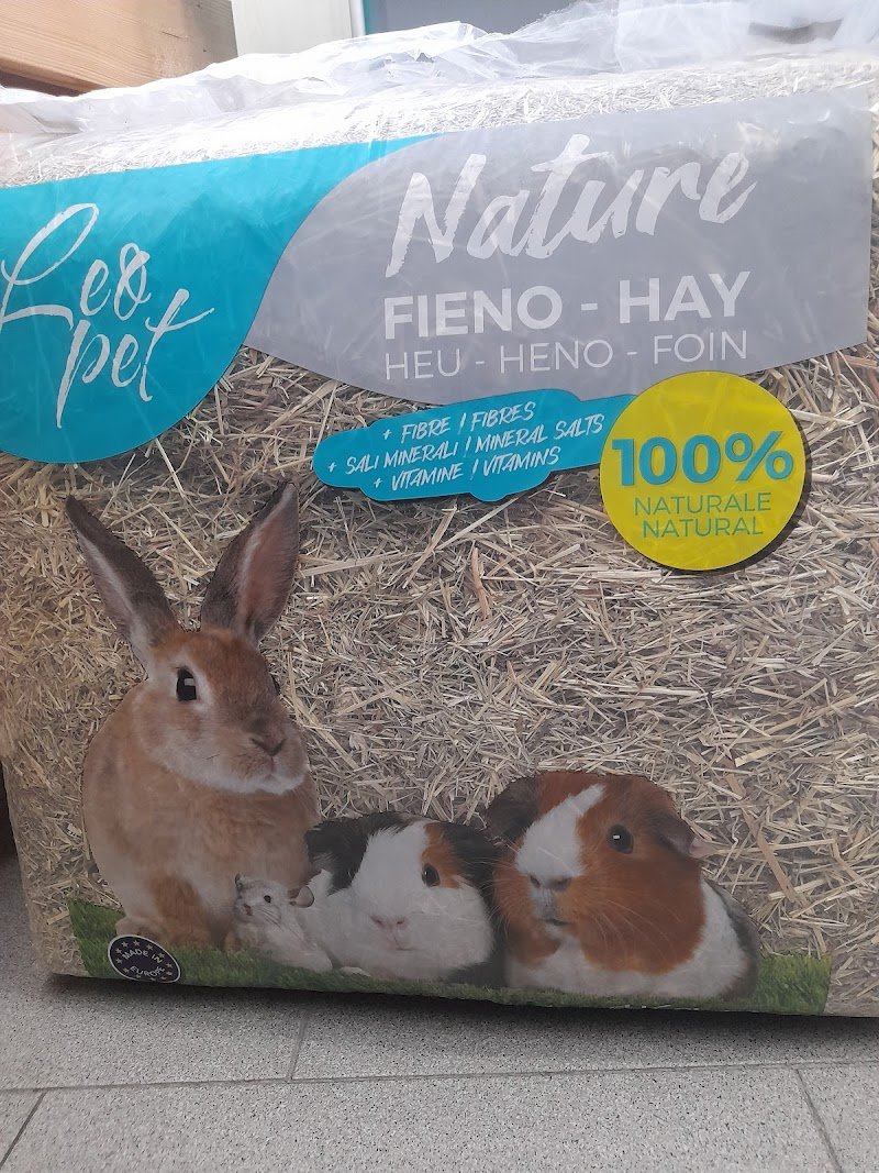 Scodinzolandia Toelettatura e Pet Shop - Foto 5