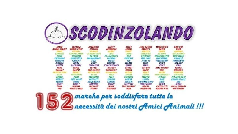 Scodinzolando - Foto 1