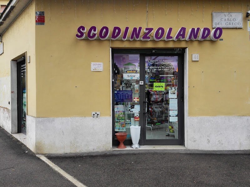 Scodinzolando - Foto 3