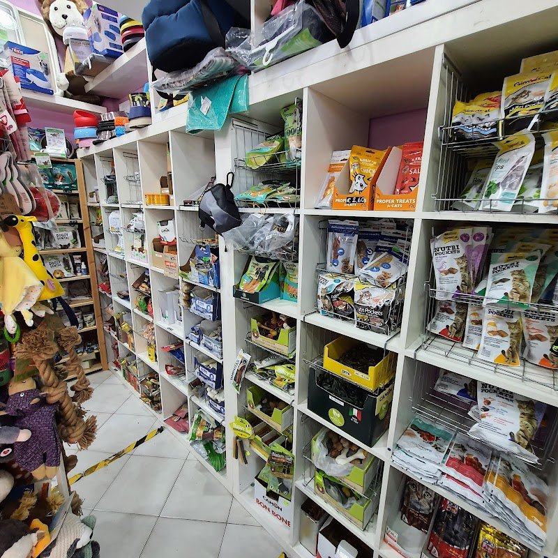 Scodinzolando - Foto 4