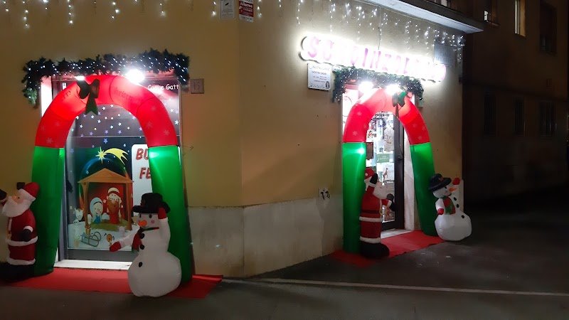 Scodinzolando - Foto 6