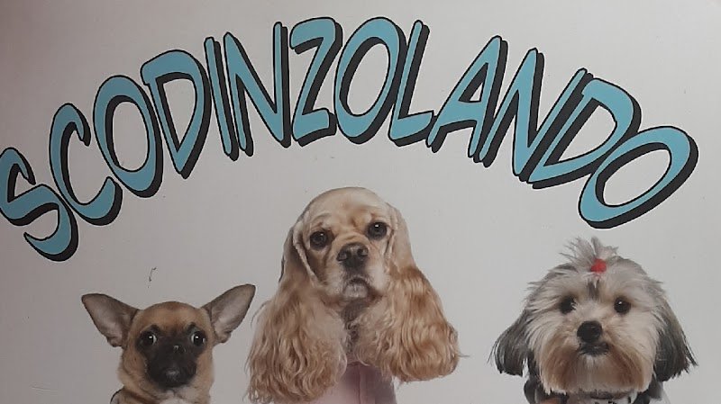 Scodinzolando - Foto 1