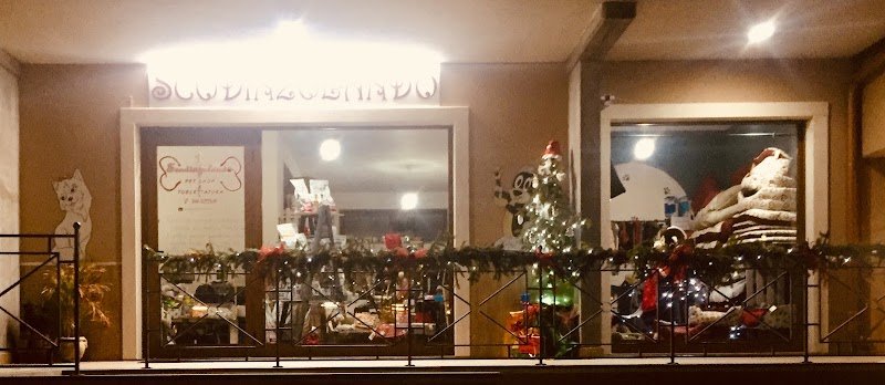 Scodinzolando | Pet Shop e Toelettatura - Foto 3