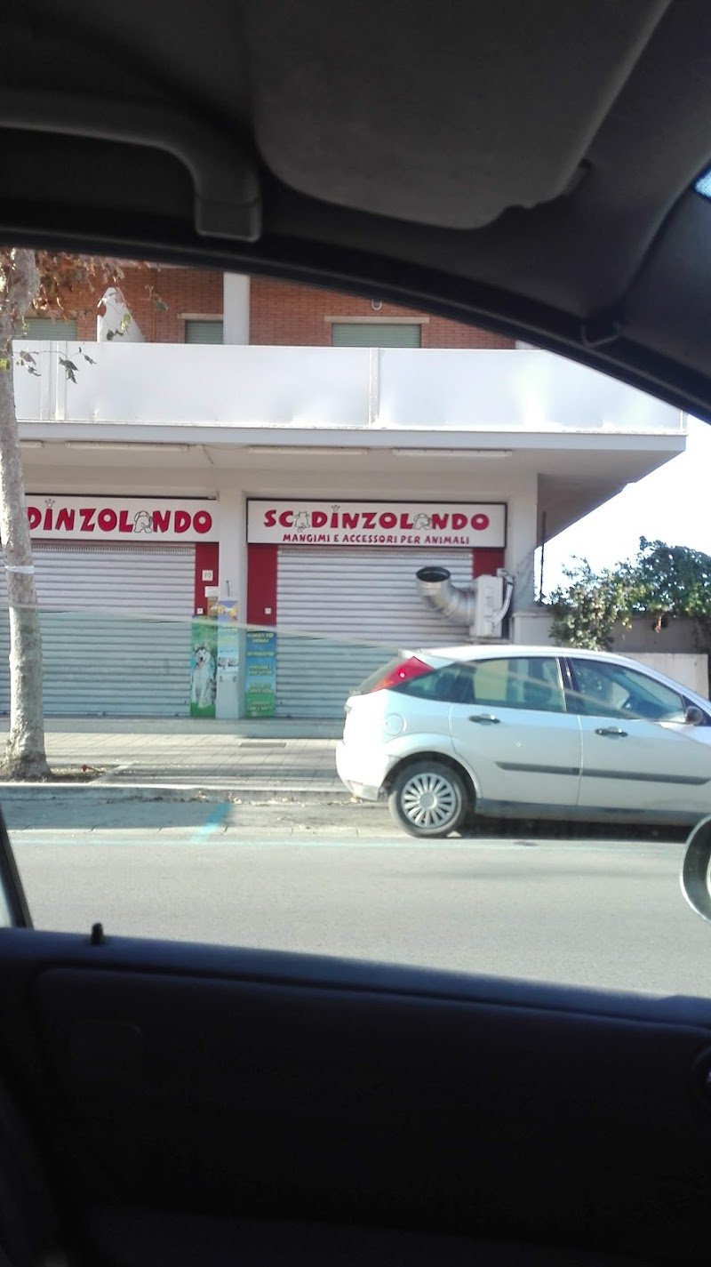 Scodinzolando - Foto 1