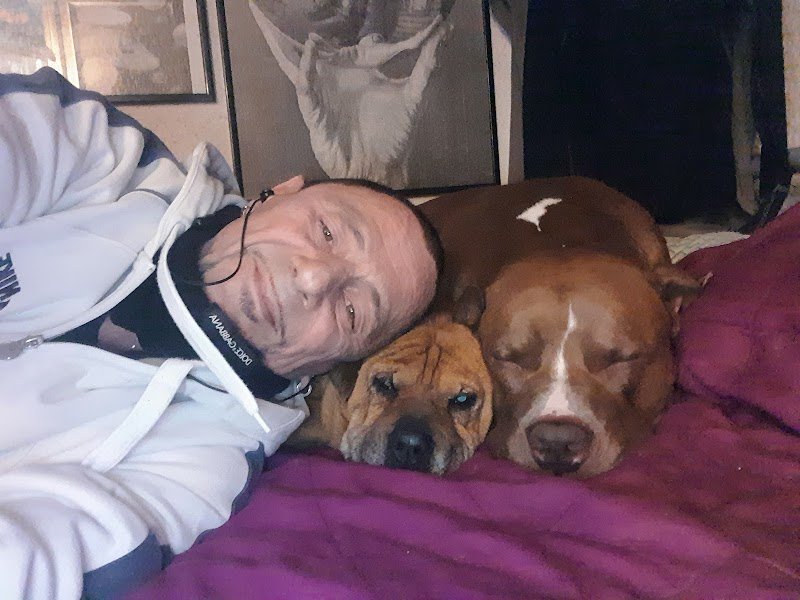 Scodinzolando - Foto 3