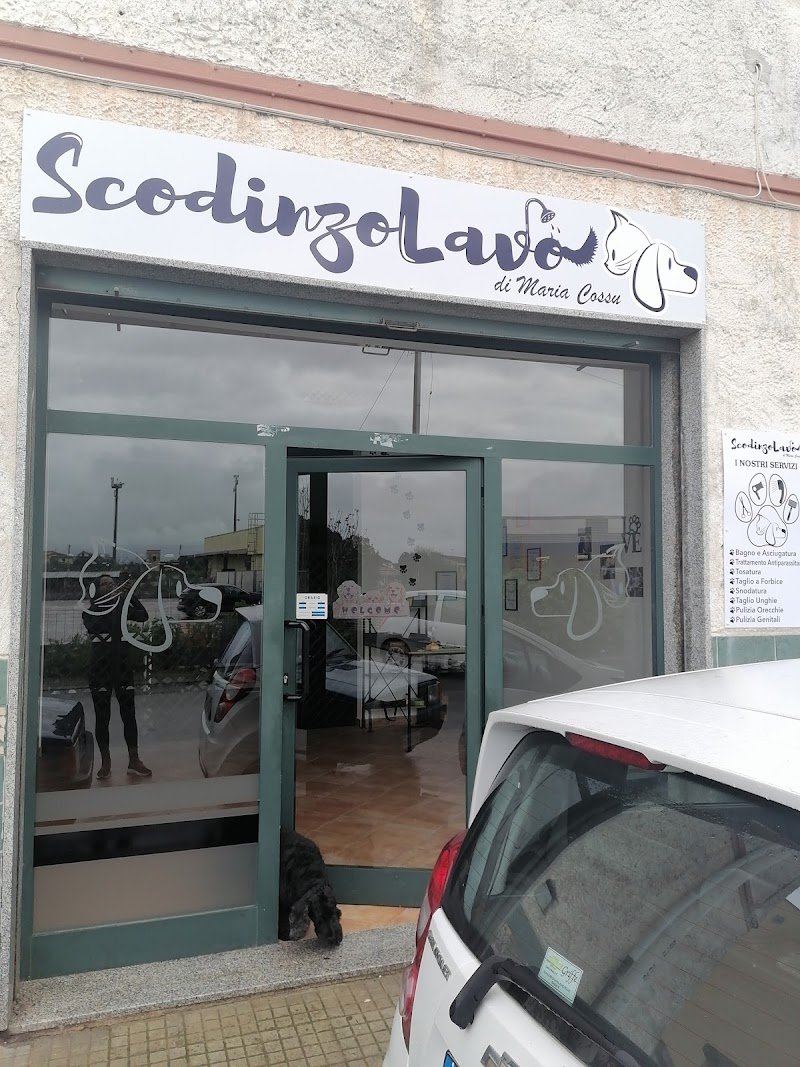 Scodinzolavo - Foto 2