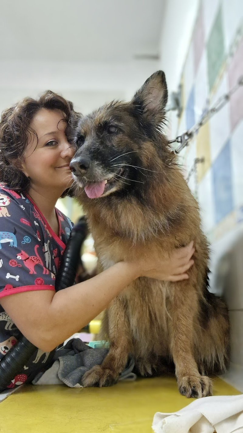 Scodinzolì - Foto 1