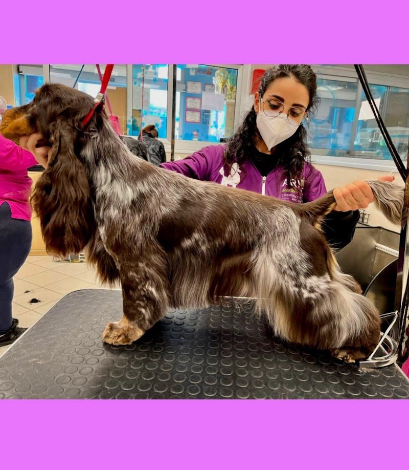 Scodinzoliamo - Foto 2