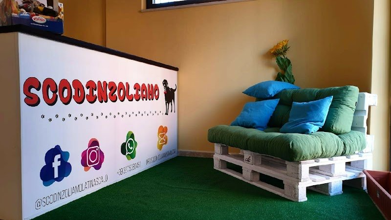 Scodinzoliamo - Foto 1