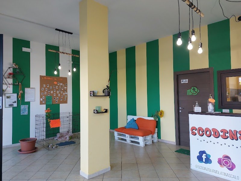 Scodinzoliamo - Foto 6