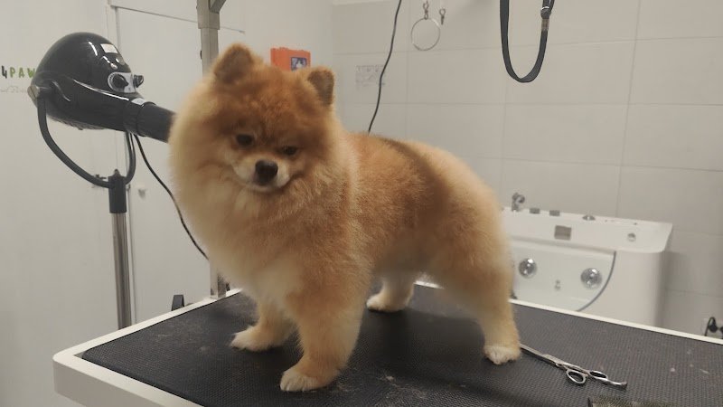 Scodinzolo Beauty & Spa - Foto 1