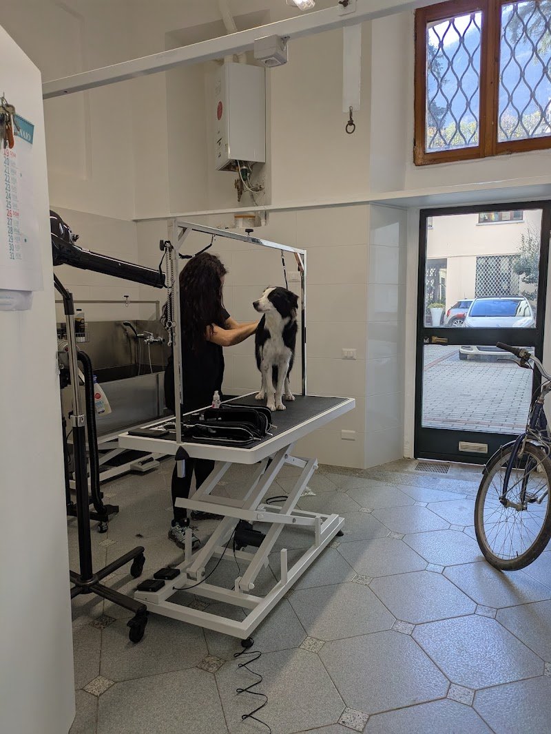 Scodinzolo Beauty & Spa - Foto 4