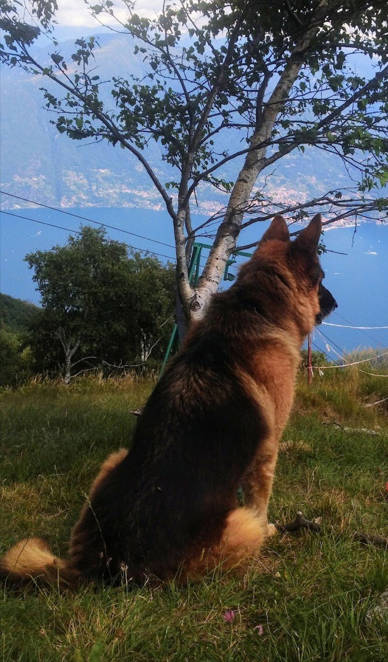 Scodinzolo Beauty & Spa - Foto 6