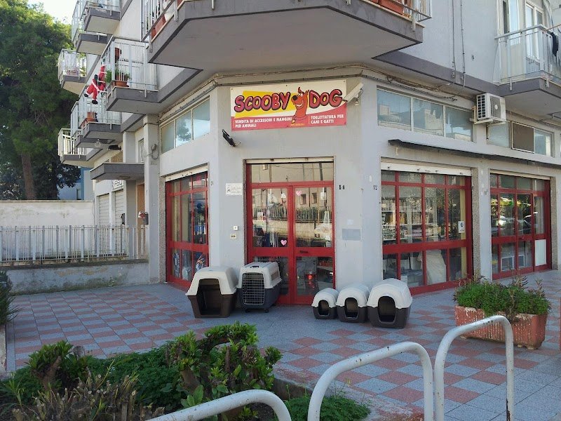 Scooby dog s.n.c. - Foto 3