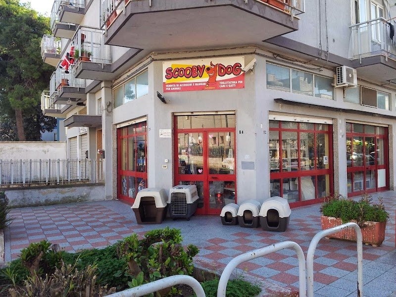 Scooby dog s.n.c. - Foto 5