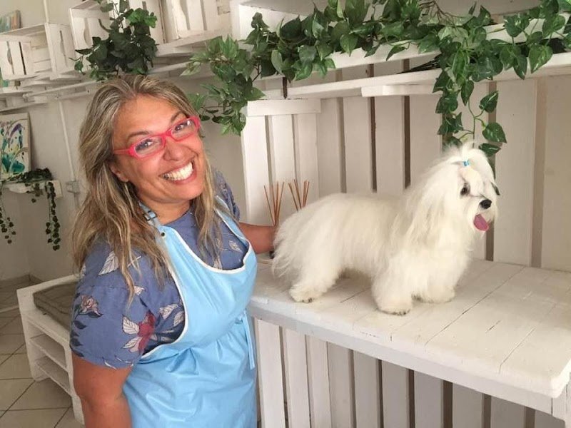 ScoobyDoo di Puccio Sabrina Toelettatura cani - Foto 1