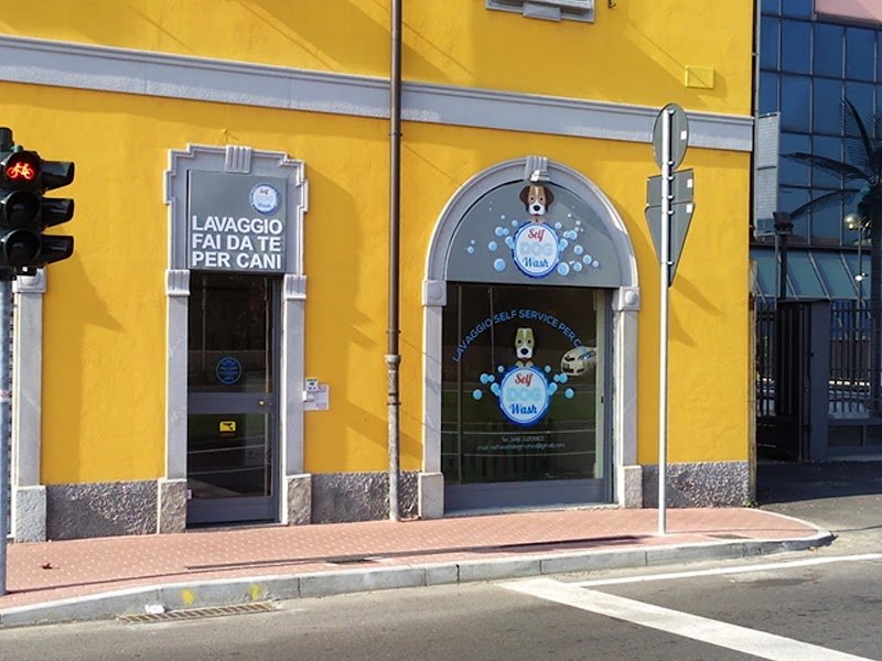Self Dog Wash - Foto 1