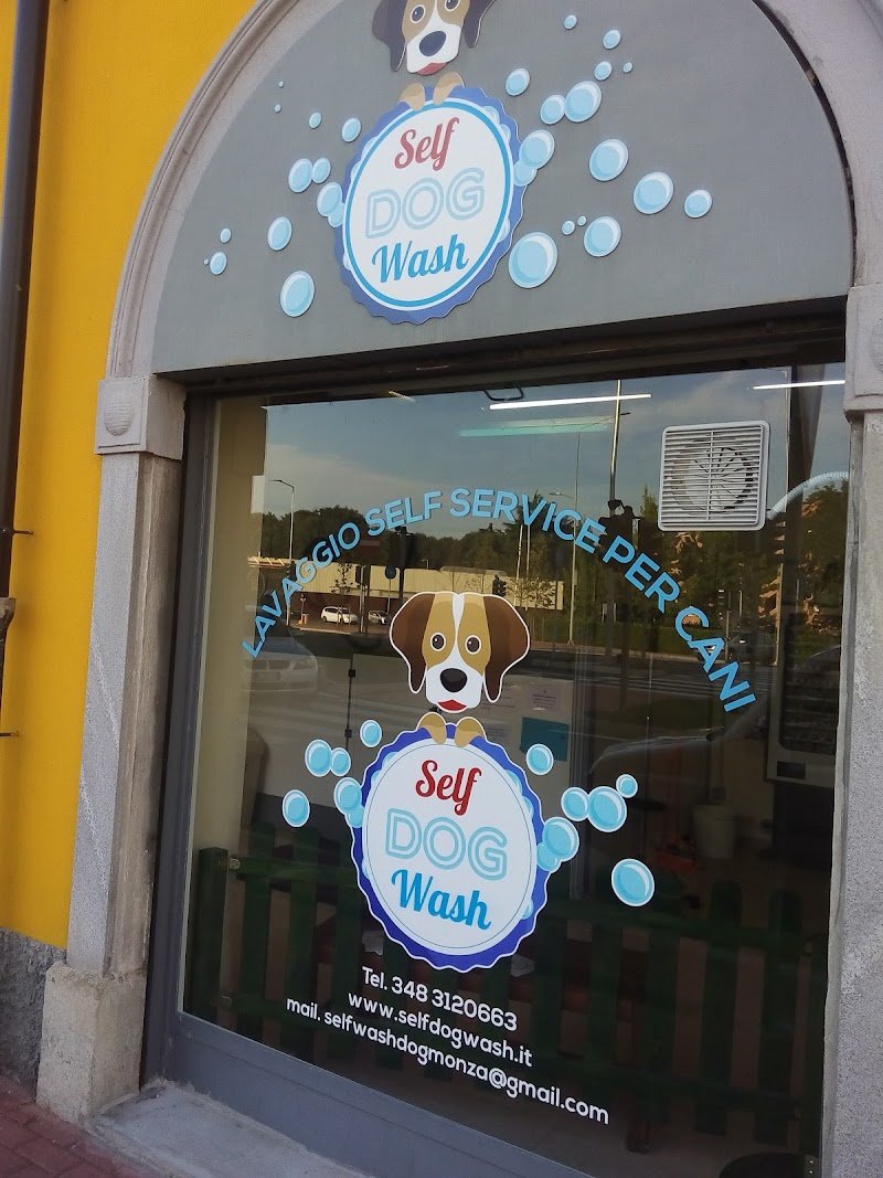 Self Dog Wash - Foto 6