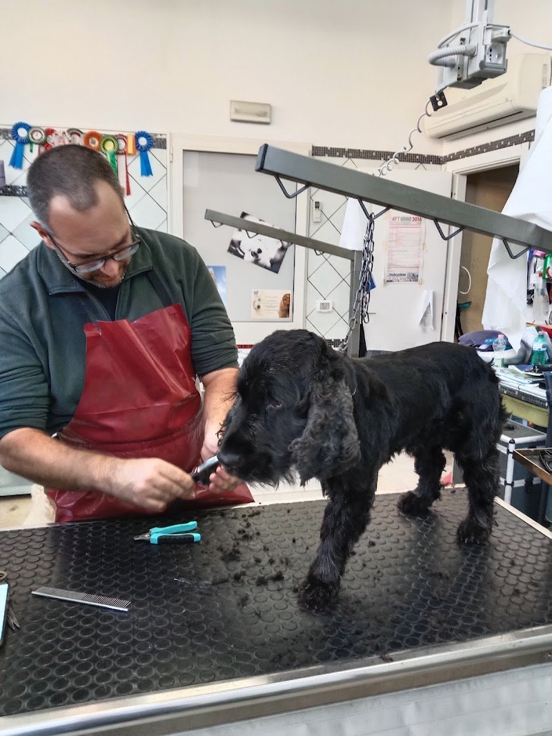 Sempre Belli di Trappolini Alessandro - Foto 1