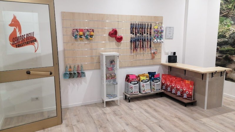 Sempre Belli di Trappolini Alessandro - Foto 5