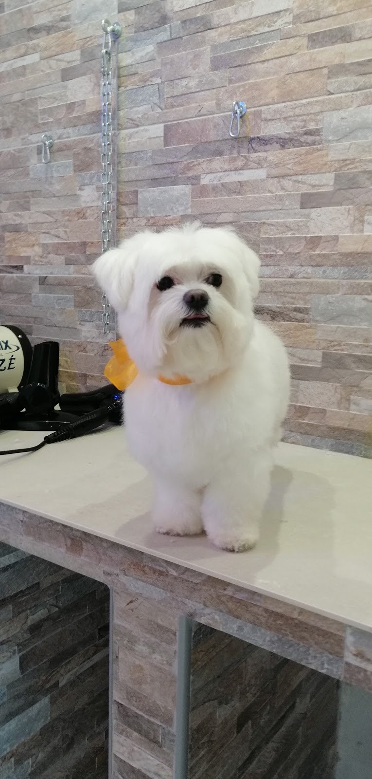 Senti Chi Abbaia luxury&spa - Foto 4