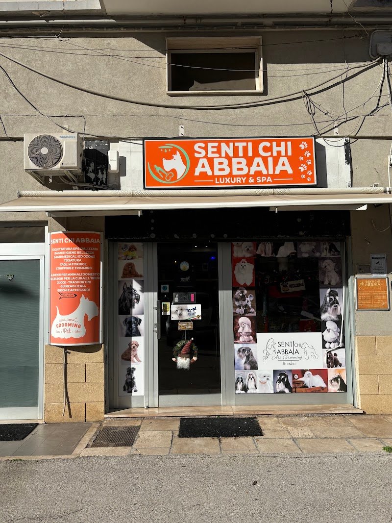 Senti Chi Abbaia luxury&spa - Foto 5