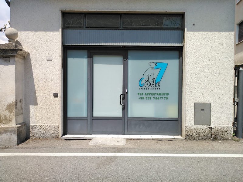 Sette code toelettatura - Foto 2