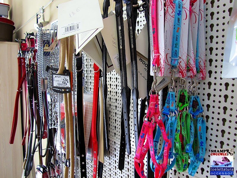 Shampi e Coccole - Toelettatura e Accessori - Foto 2