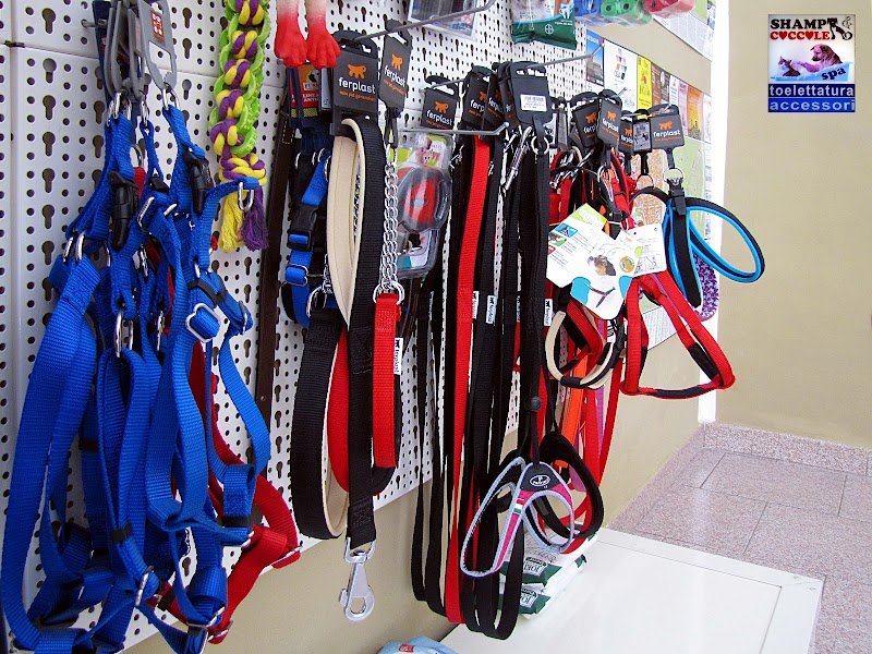 Shampi e Coccole - Toelettatura e Accessori - Foto 5