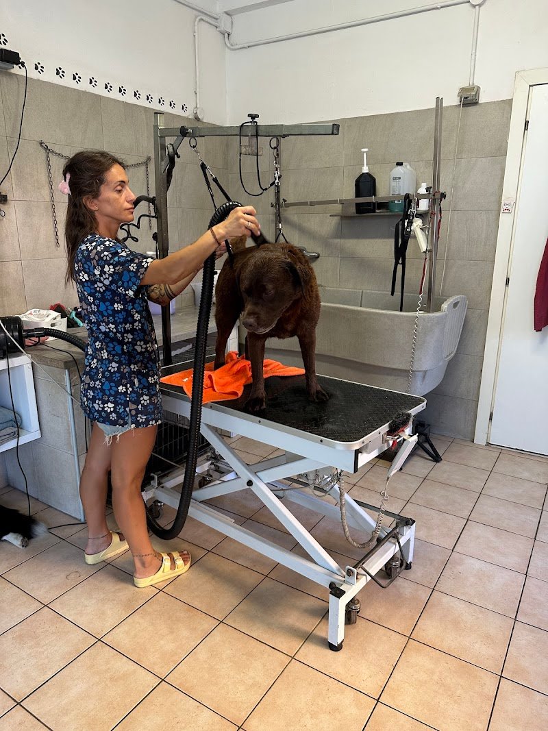 Shampoo & Coccole Di Maffi Christel - Foto 1